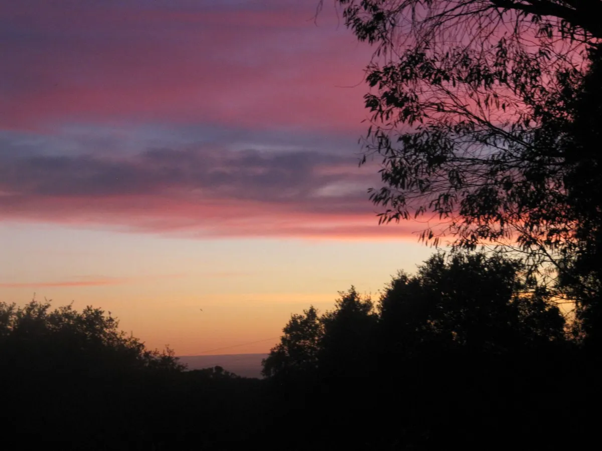 Marianne Mejia - Psychotherapy, Anxiety, EMDR, Trauma, Life Transitions, Writer's Block, Computer Phobia, Fears & Phobias - Soquel, Santa Cruz, Aptos, Capitola, Felton, Scotts Valley, Watsonville, Rio del Mar, & Santa Cruz county, CA