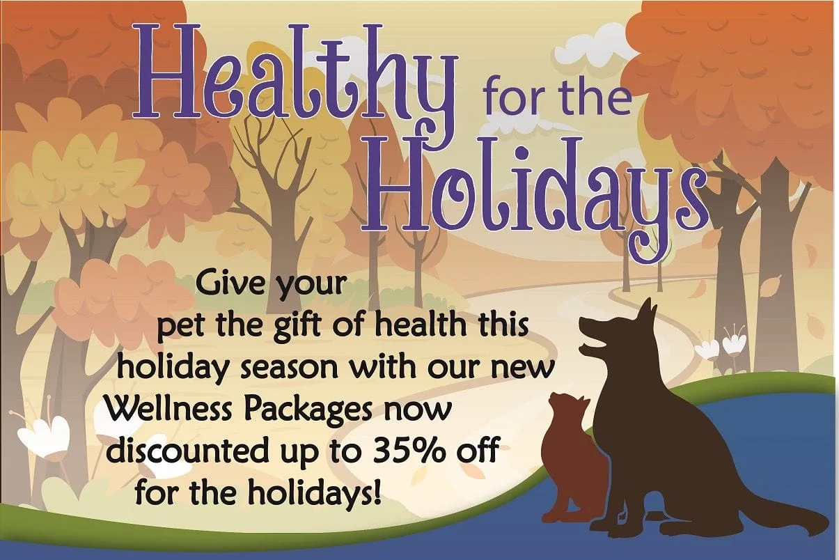Healthy for the Holidays: Give your pet the gift of wellness this holiday season!
