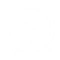 Bauer Chiropractic