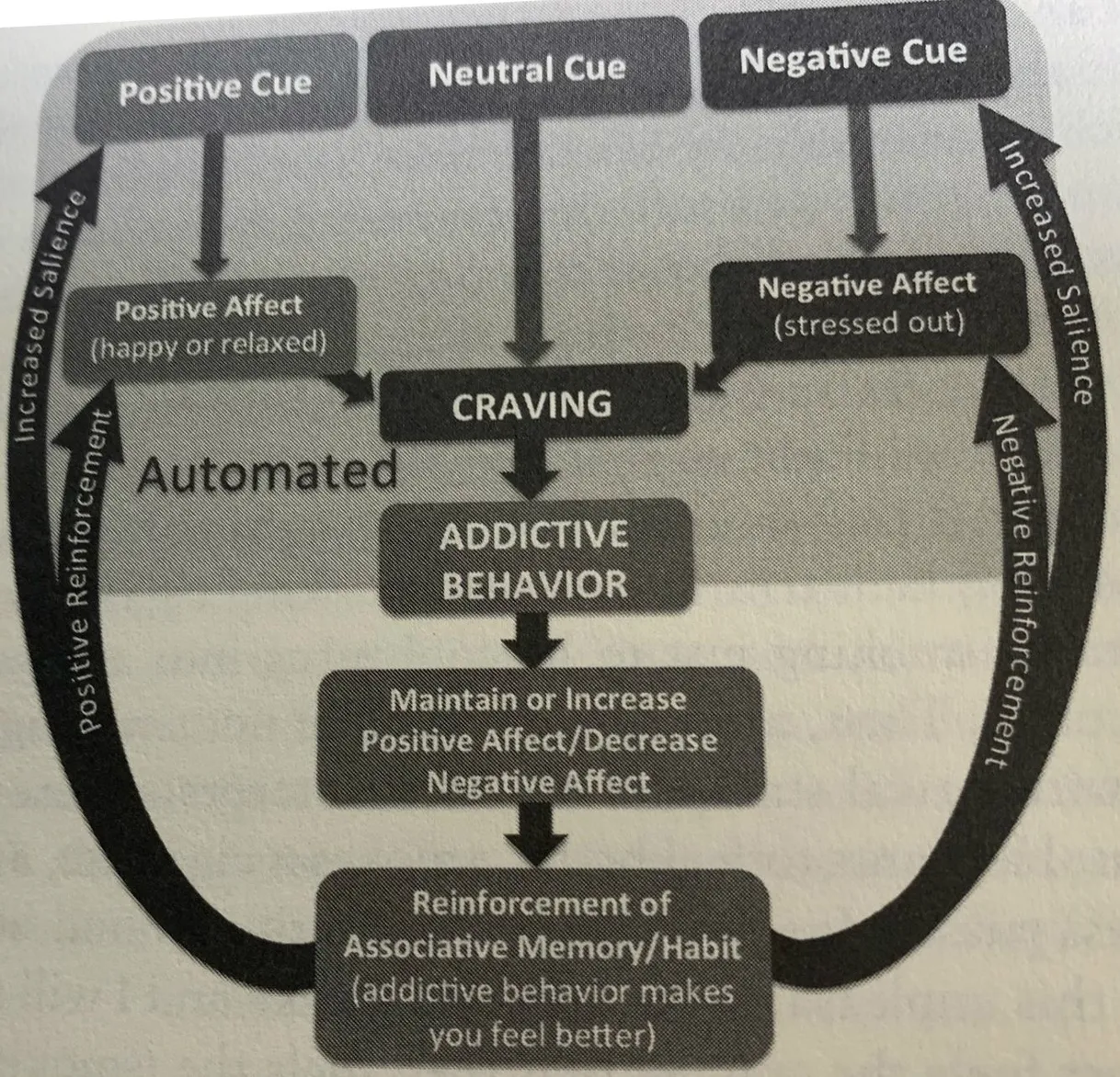 feedback loop