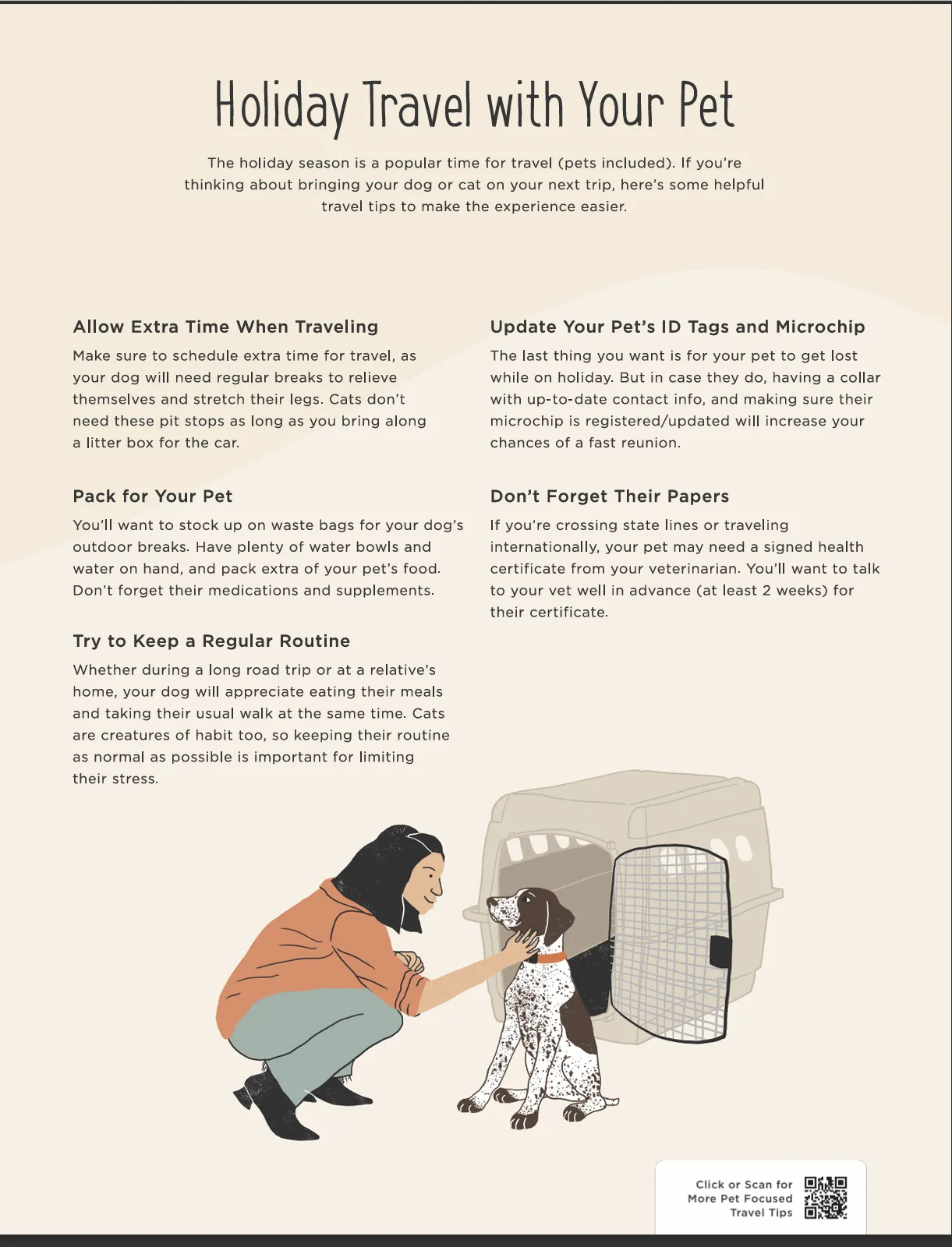 holiday travel with your pet 