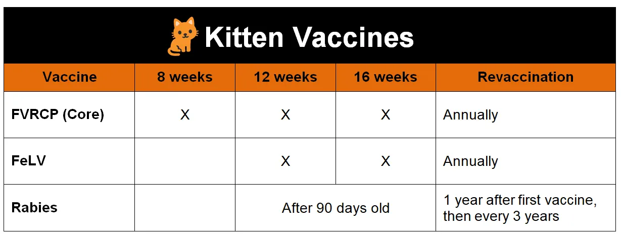 Kitten store core vaccines