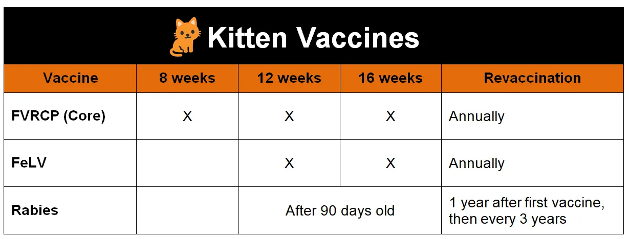 kitten vaccines