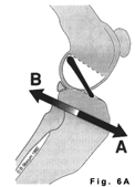 slide19a.gif