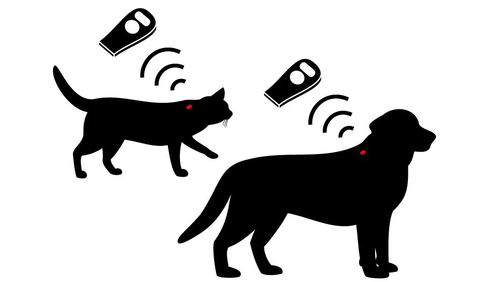 Pet Microchip