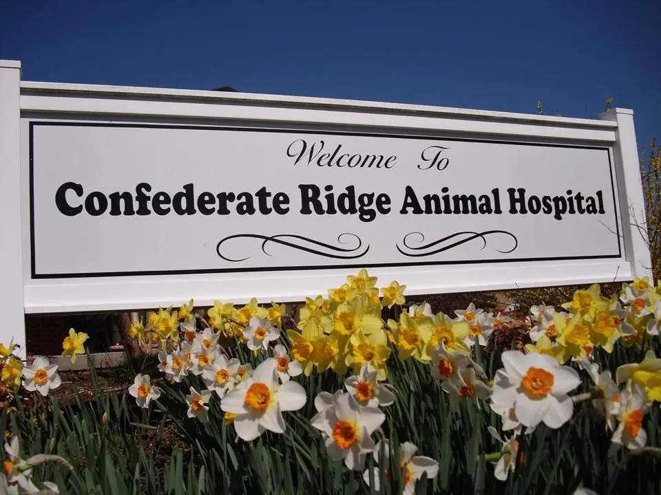 Confederate Ridge Animal Hospital