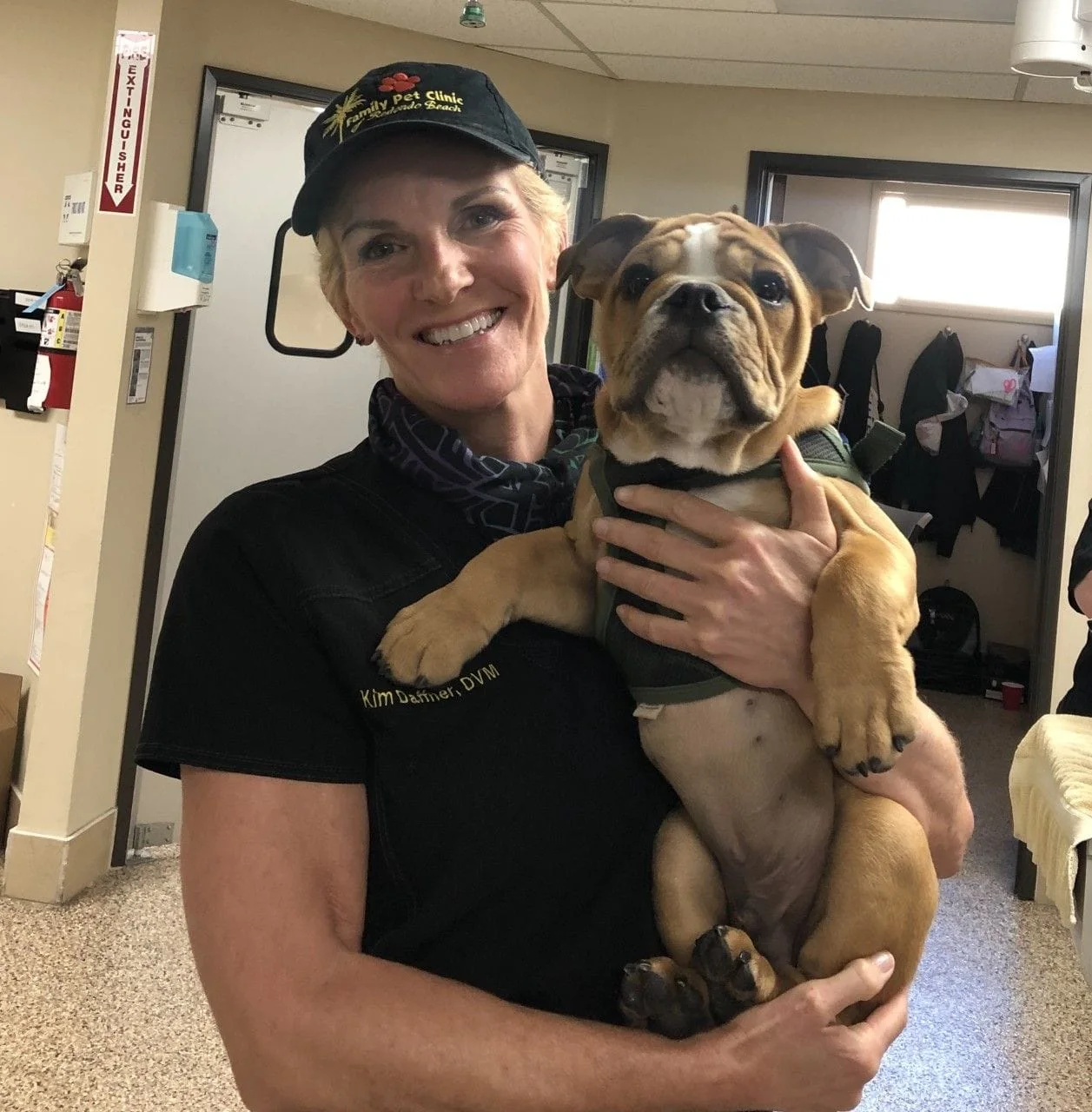 Family Pet Clinic of Redondo Beach Veterinary Services