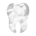 Round Tooth Logo