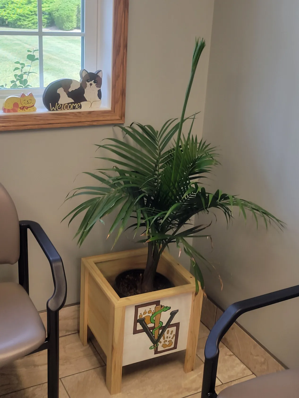 Handmade & hand-decorated planter box with plant.