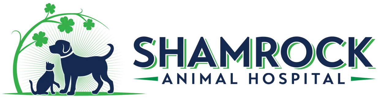 Shamrock Animal Hospital | Veterinarian | Rosemount, MN 55068