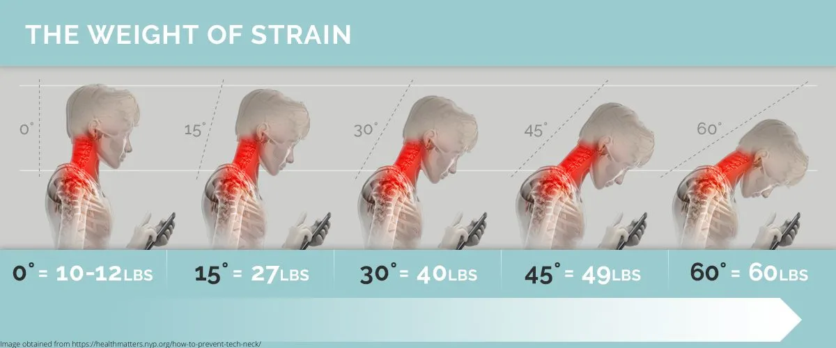 Relative weight of head based on degree of cervical flexion