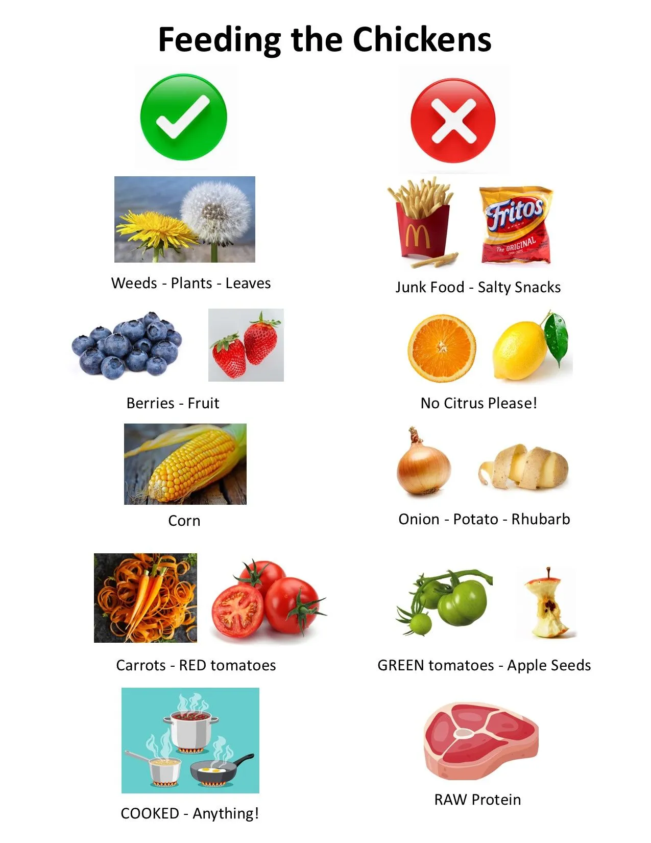 What do chickens like to eat?