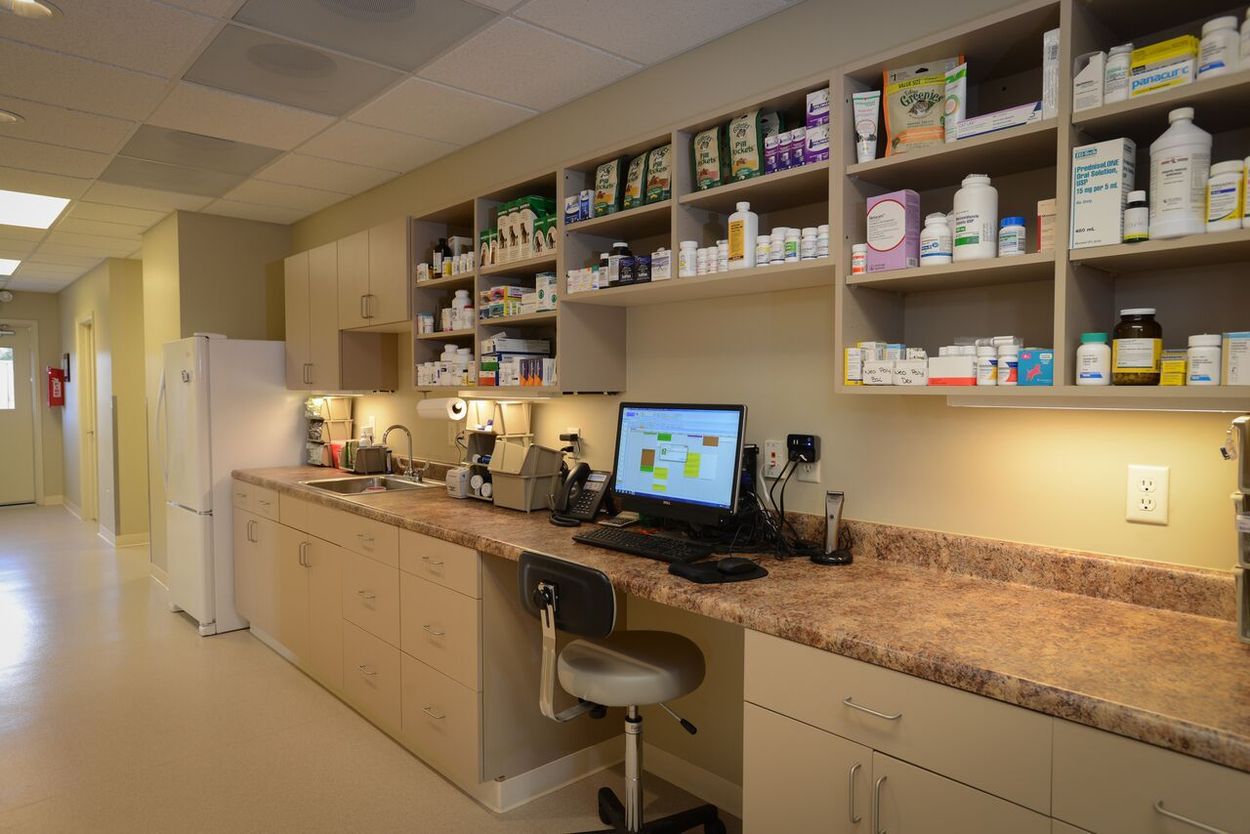 Brunswick Veterinary Hospital Veterinarian In Troy, NY USA