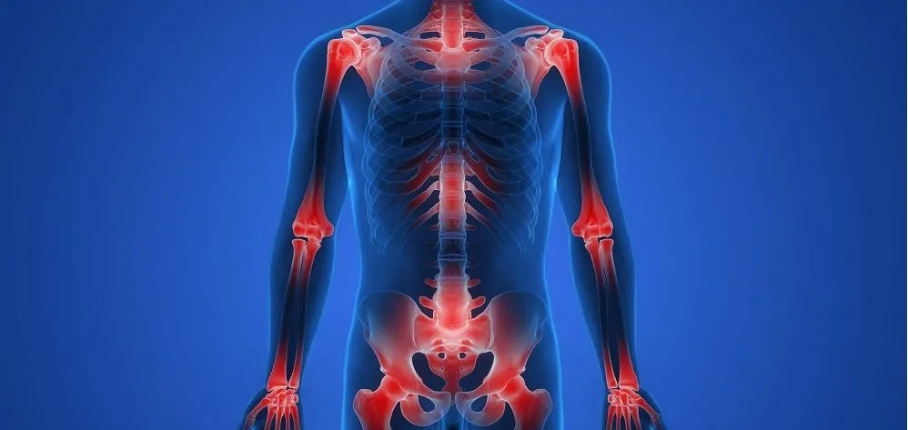 Xray illustration of human body