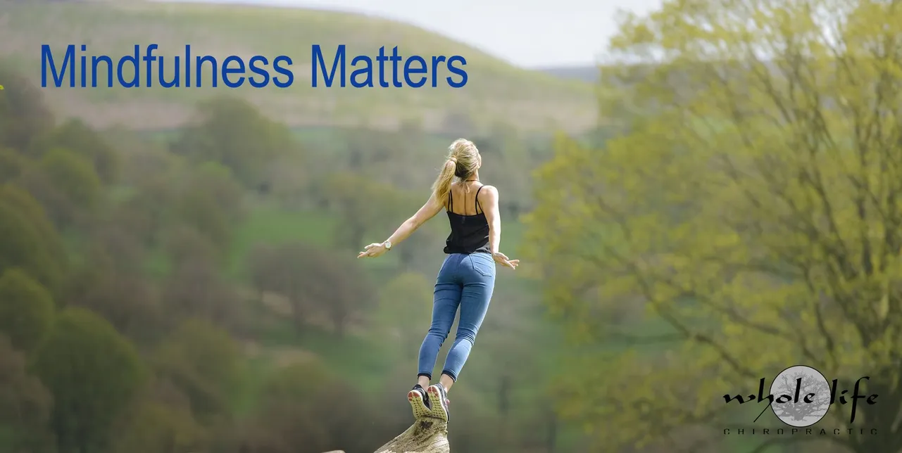 Whole Life Chiropractic January 2020 Newsletter (Mindfulness Matters)