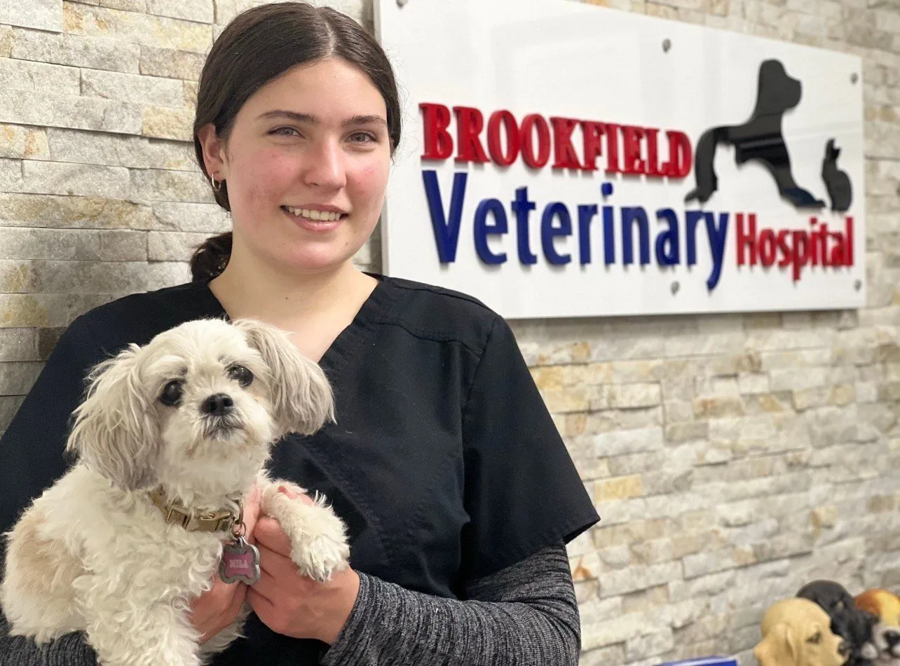 Eglinton Mavis Veterinary Hospital