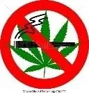 no weed