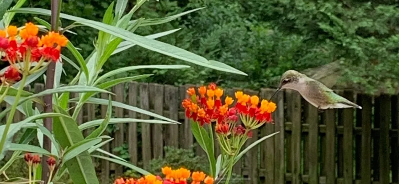 Jennifer Erickson in Glenmoore, Pennsylvania