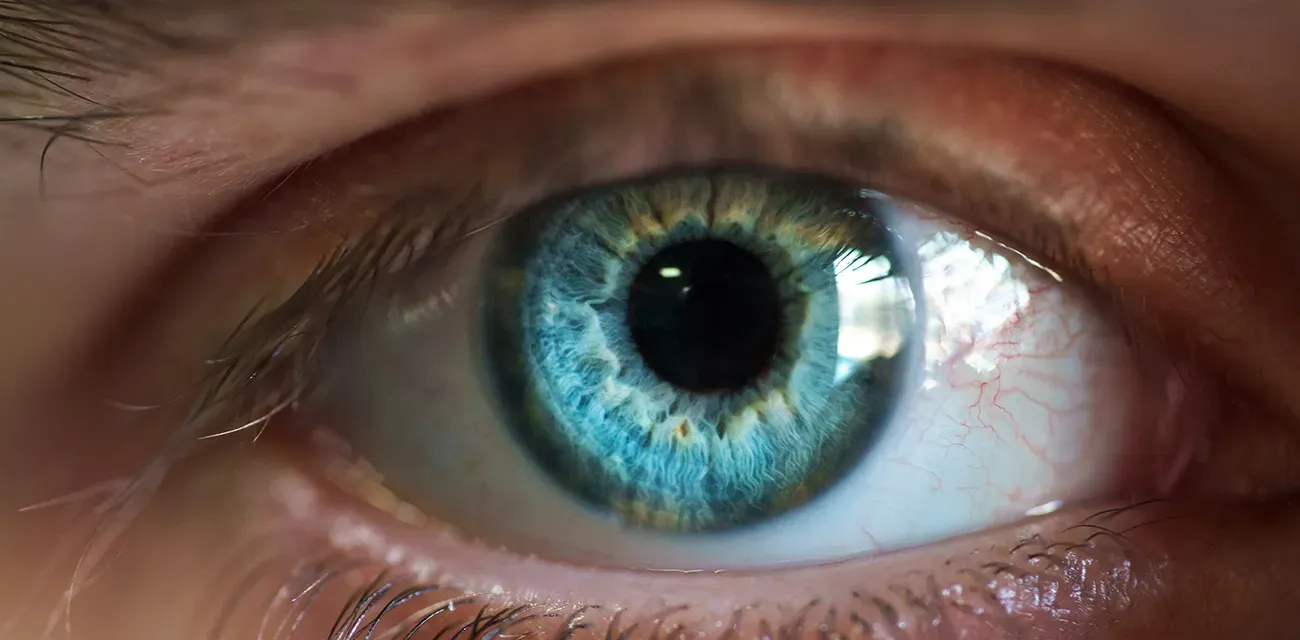 Kitsap Eye Physicians Optometrist in Bremerton, WA