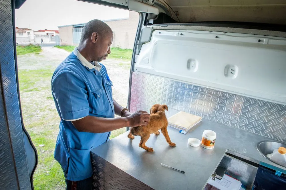 Inside a Mobile Veterinary Wellness Exam: A Detailed Look