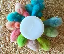 a group of chicks