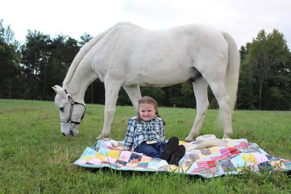 grey horse with child