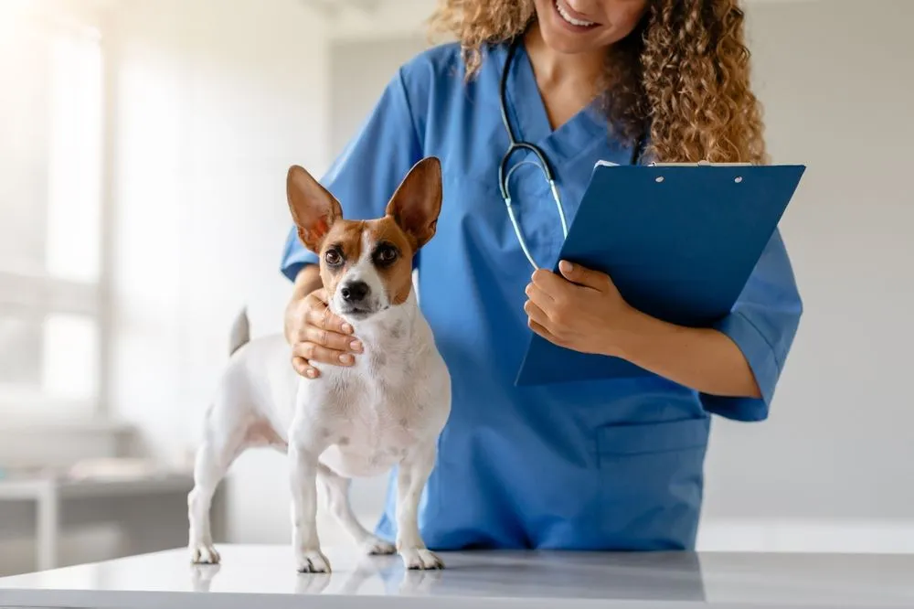 How to Read and Understand Your Pet's Health Report
