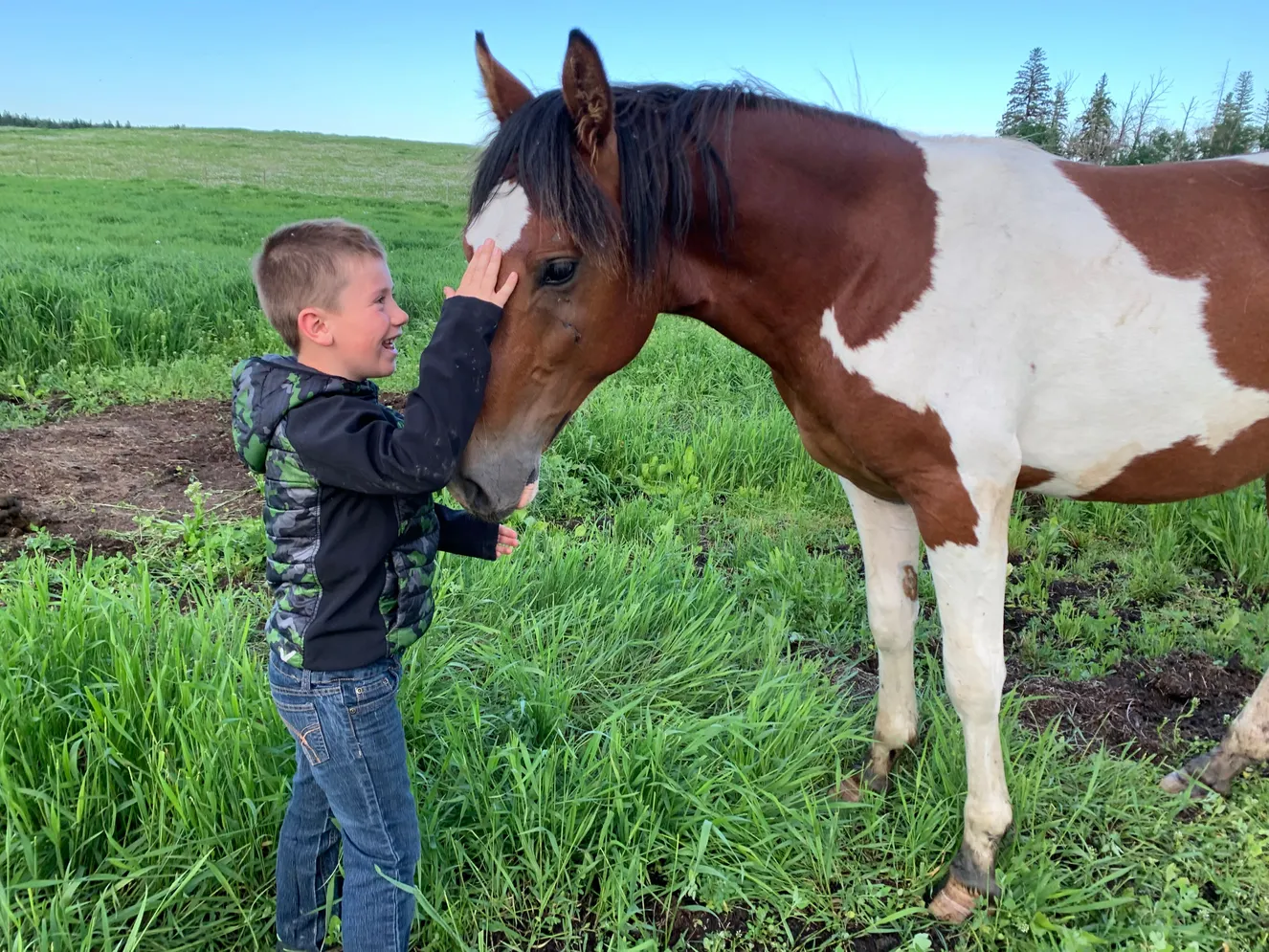 Hilltop Equine