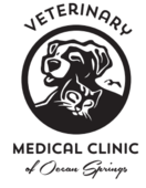 bienville animal clinic