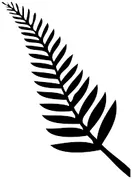 picture of fern leaf