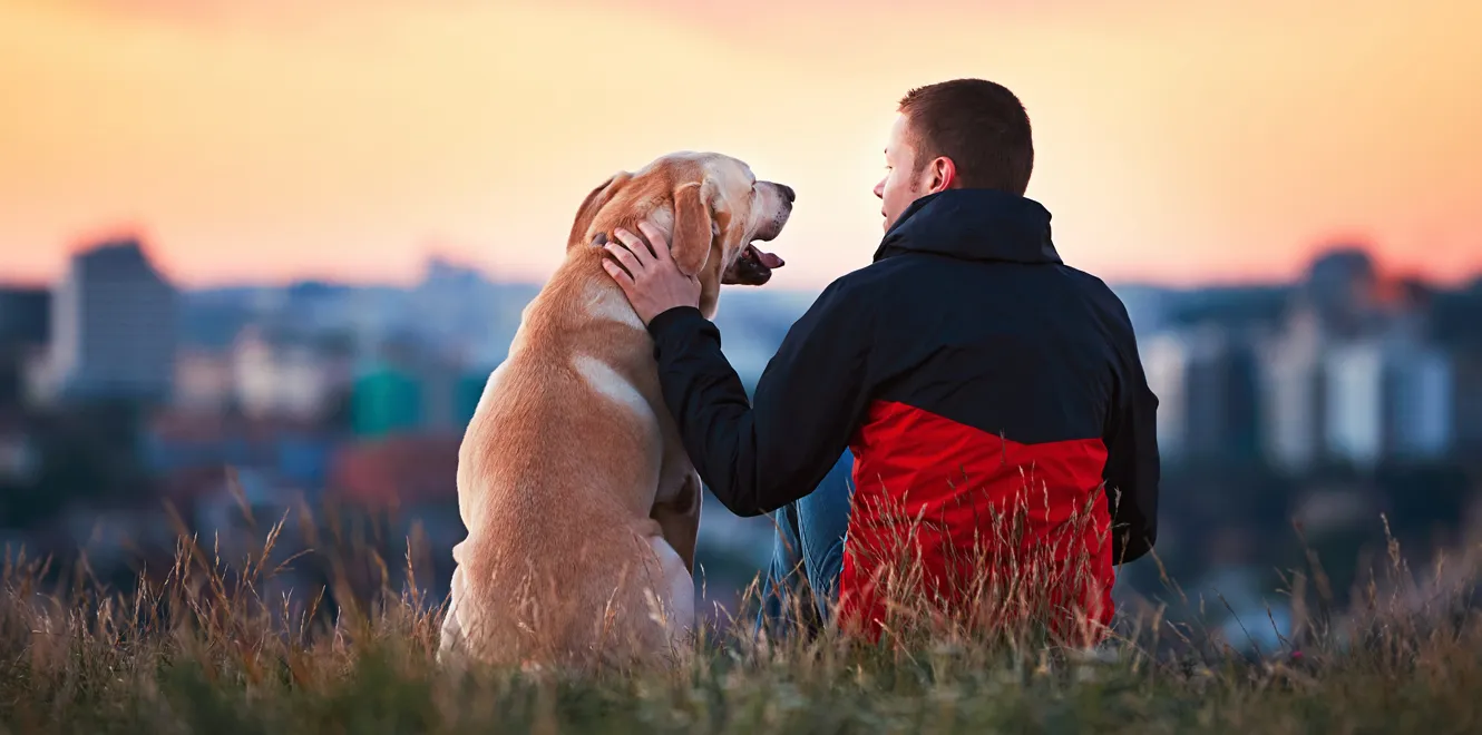 Town & Country Animal Hospital photo