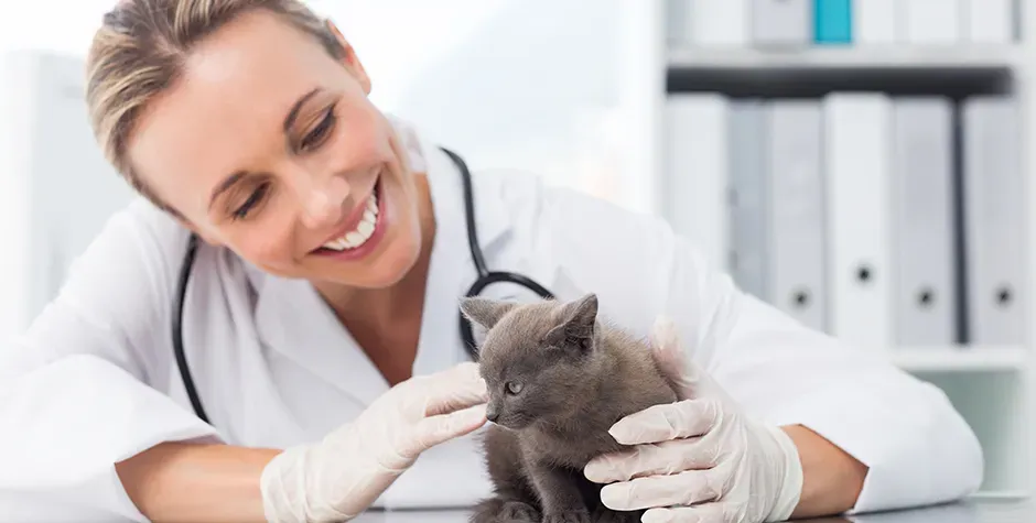 Comprehensive Vet Care