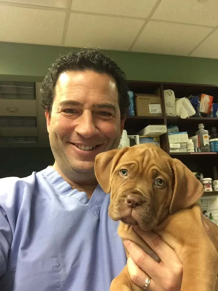 Dr.Gurtman