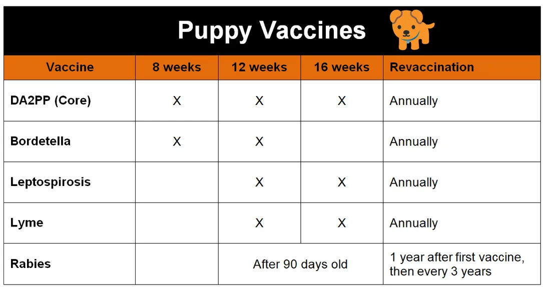 puppy vaccines