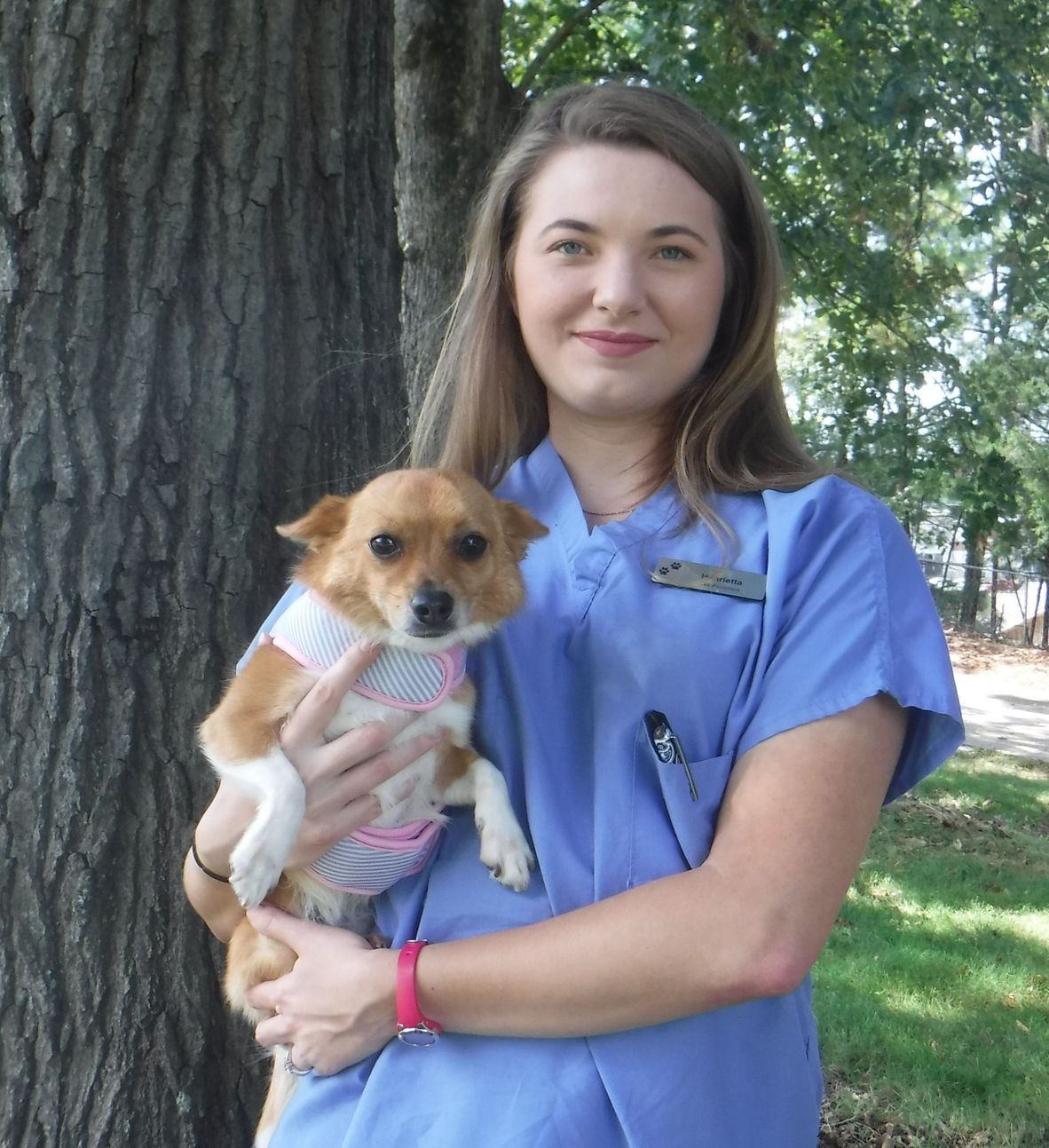 Staff Veterinarian in WINDER, GA Winder Corners Animal Clinic