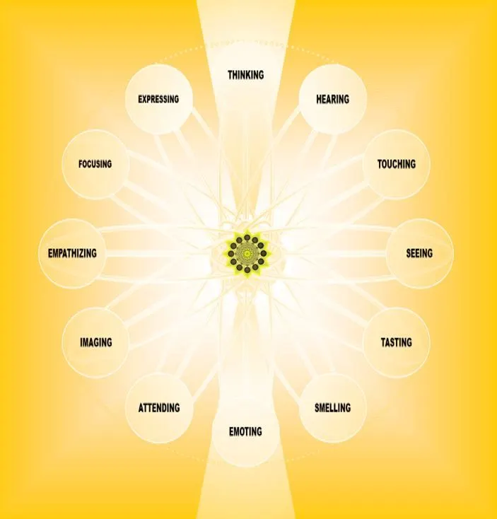 12 portals of understanding