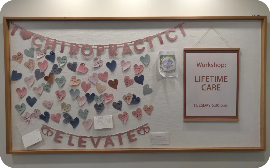 Spinal Education | Back pain relief