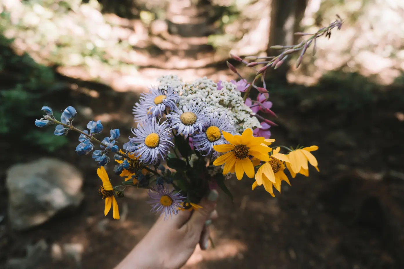 wildflowers