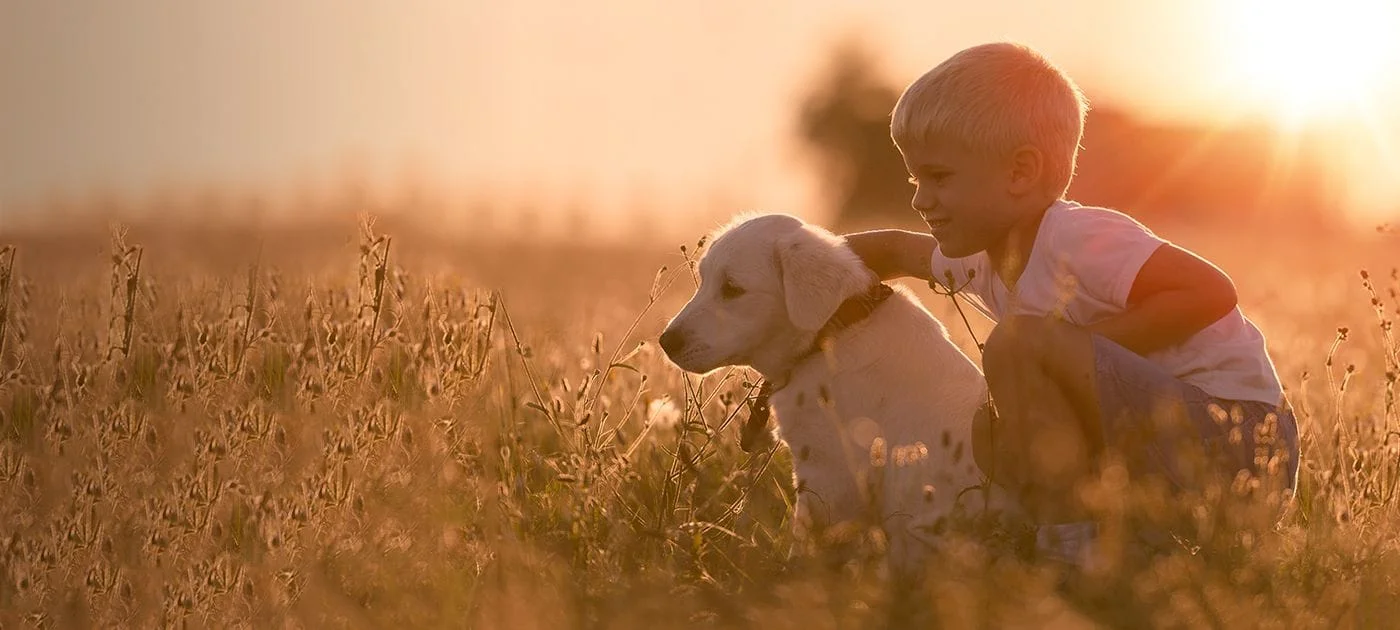 dog in a field with his owner