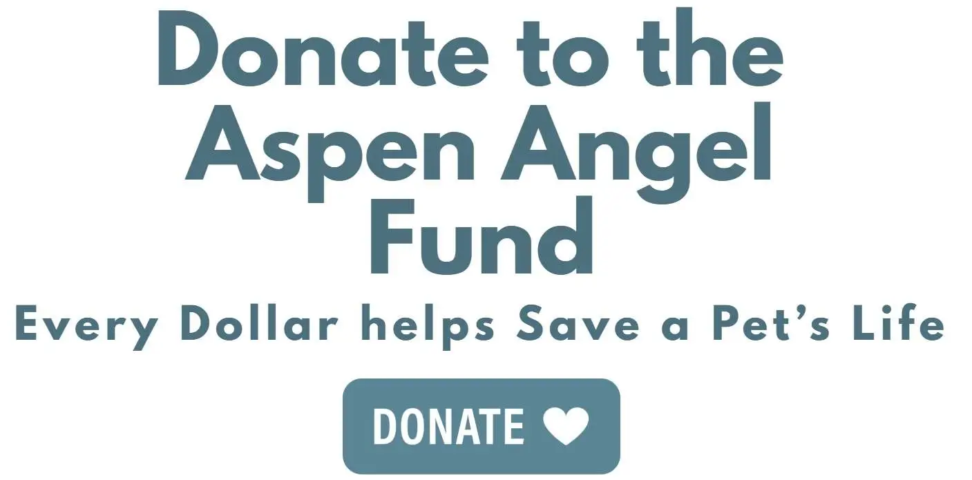 Aspen Angel Fund Logo