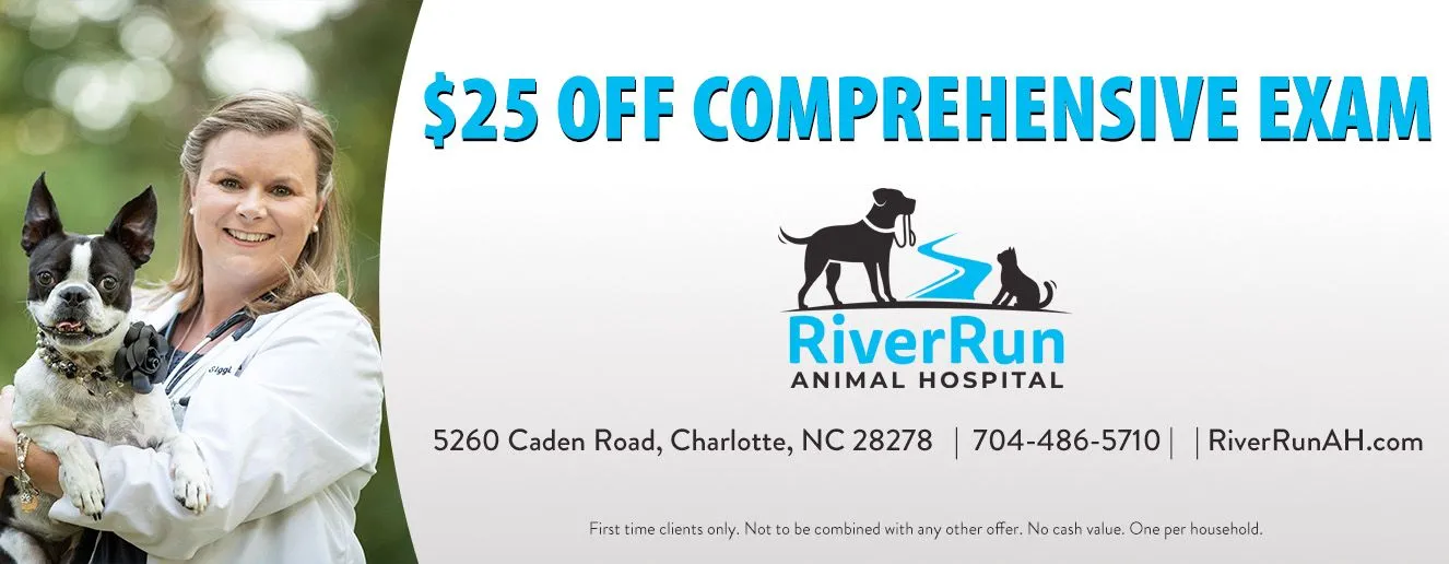 Veterinarian Discount Charlotte, NC | Coupon Veterinarian Charlotte, NC