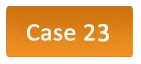 case23_btn.png