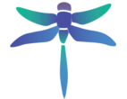 Dragonfly Image