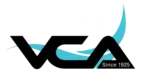 Logo of the Virginia Chiropractic Association