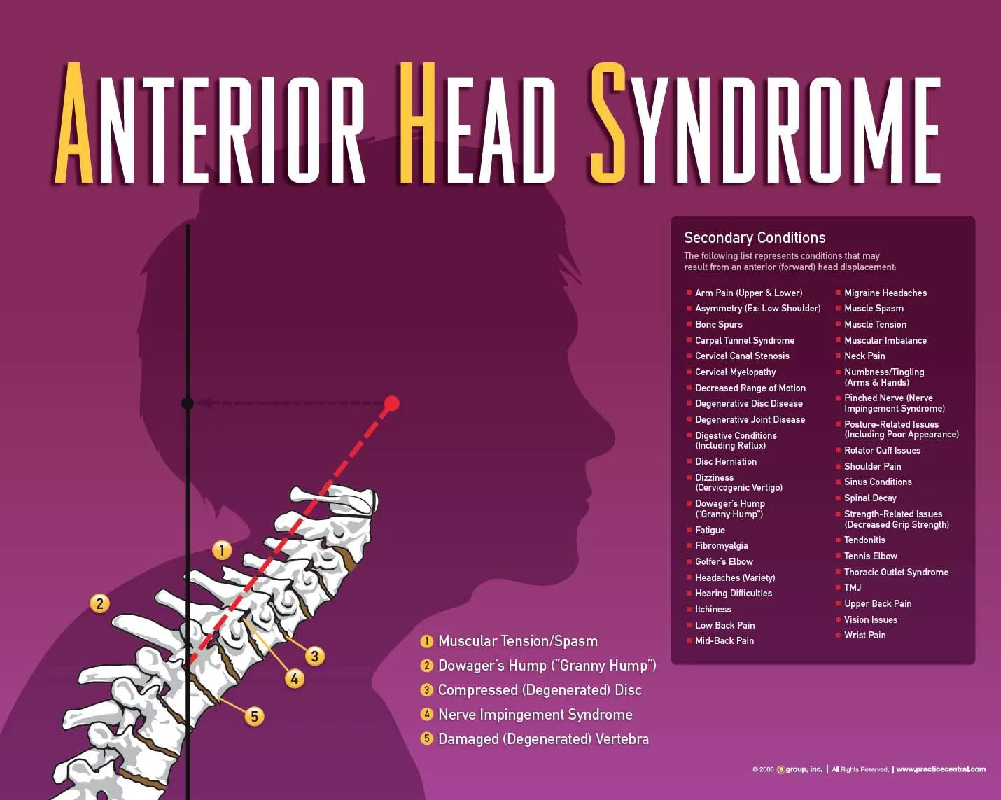 Forward head posture and respiratory function of each group