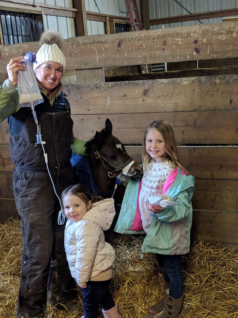 horse with kids