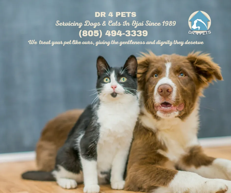 DR 4 PETS Ojai Pet Euthanasia