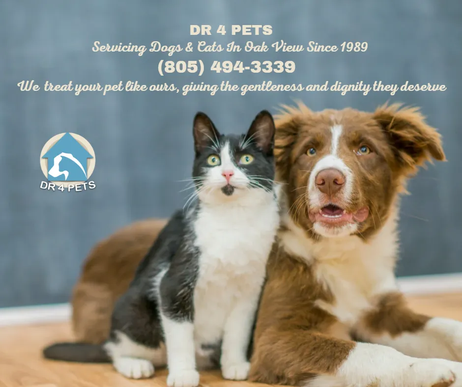 DR 4 PETS Oak View Pet Euthanasia