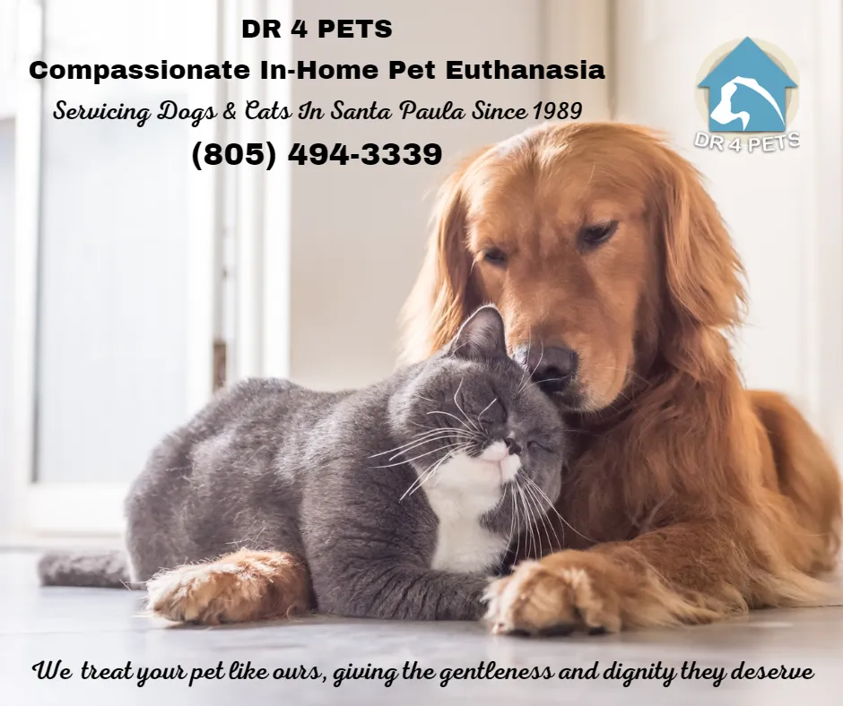 DR 4 PETS Santa Paula Pet Euthanasia