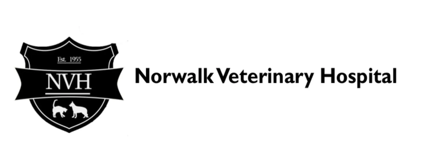 Norwalk Veterinary Hospital